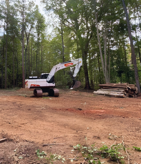 Land Clearing 1